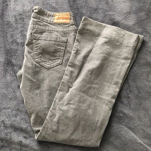 True religion pants